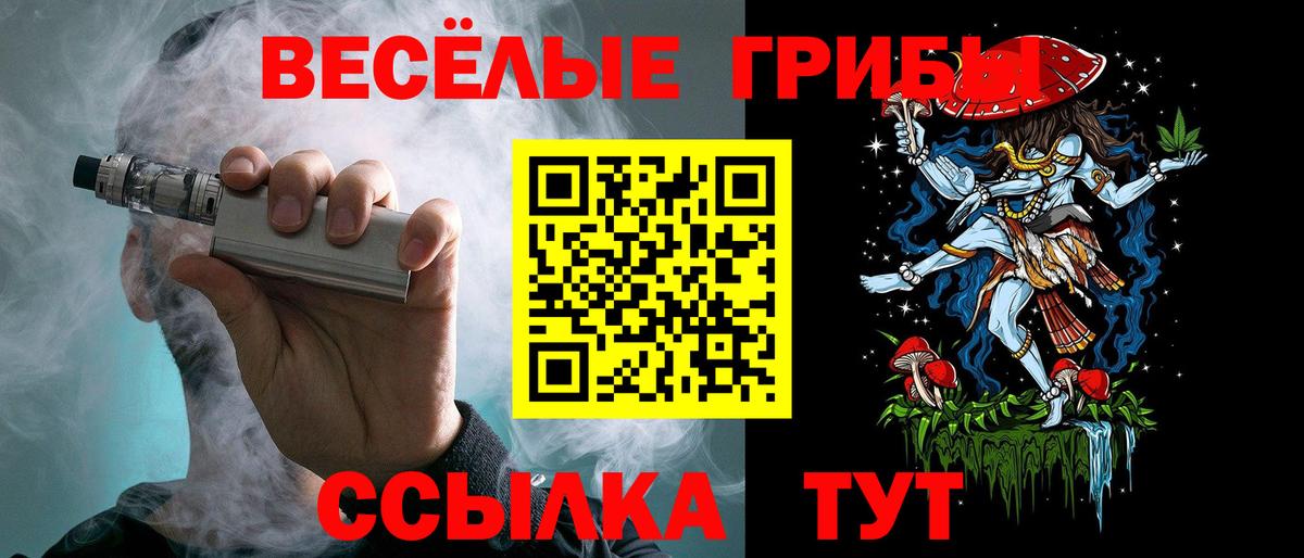 Псилоцибиновые грибы Psilocybine cubensis Клин
